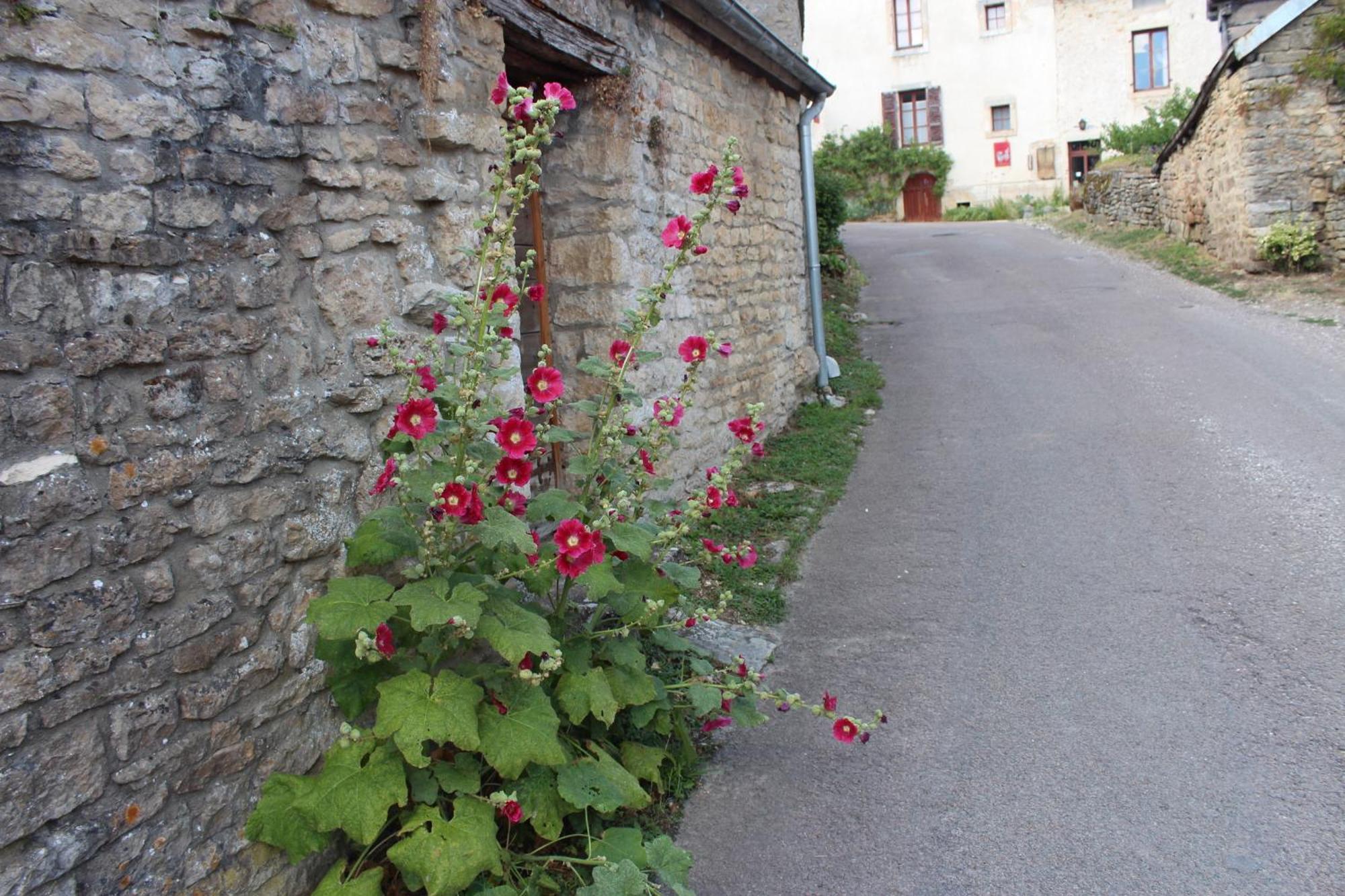 Appartement Chateauneuf Suites