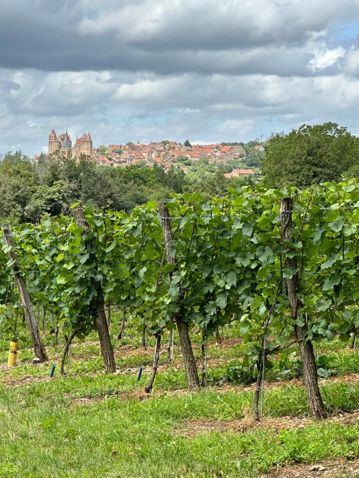 Chateauneuf Suites * Châteauneuf
